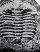 B?＼┕n"[裂醻檆RX3N'TWQ銌揹ny痨S???N[襨M蒌+鮶:濒戓L螓-奇异果官网入口